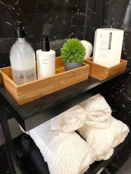 Apartment Luxury In Center